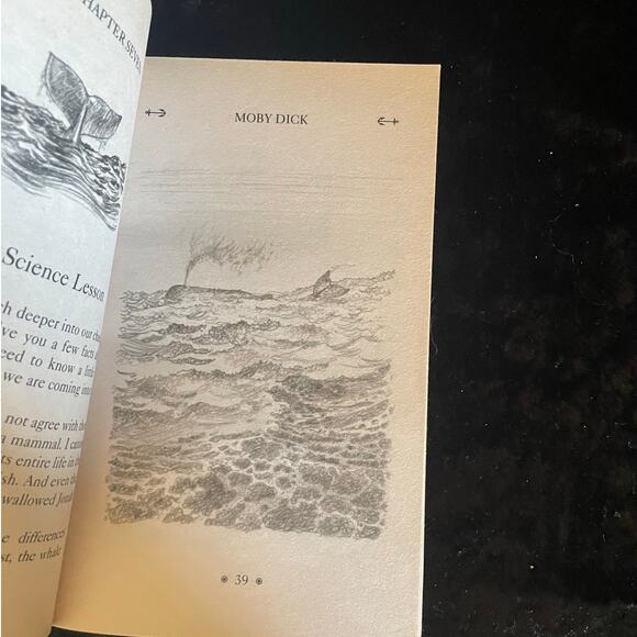 Moby Dick by Herman Melville | 2012 | Junior Classic for Young Readers - Picture 7 of 10